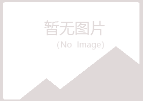 灵川县夏槐化学有限公司